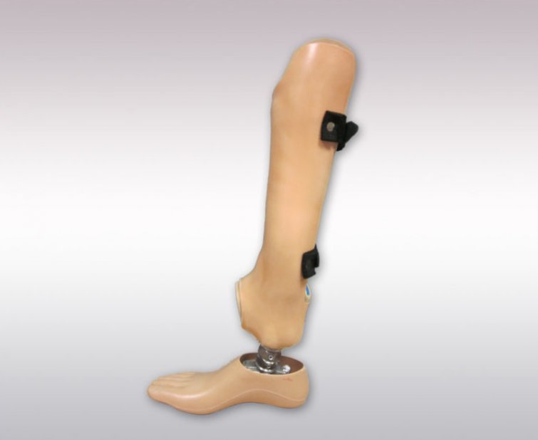Pictures of leg prostheses